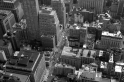 New York (19)